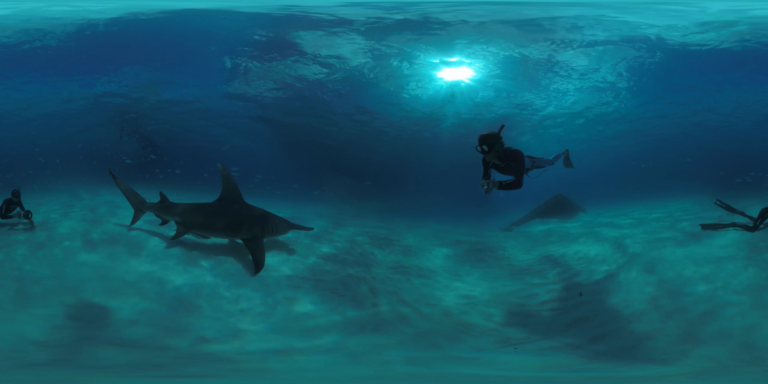 Immersion en VR · Dolphin Man – Explore